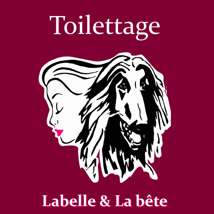 labelle-et-la-bete-toilettage-logo-720x720