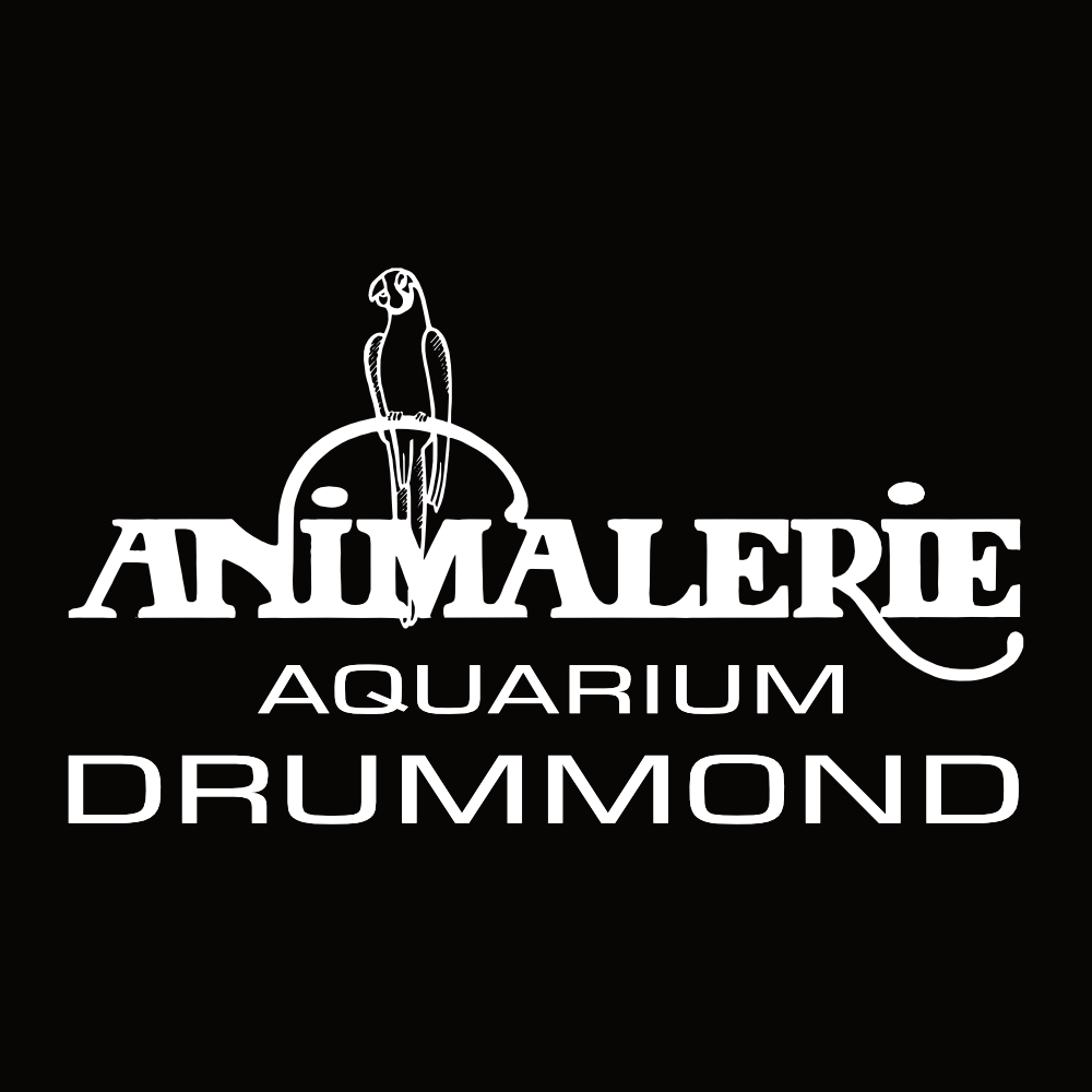 1831-animalerie-drummond