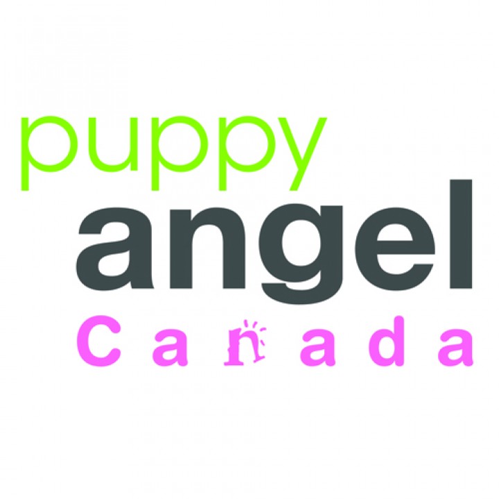 puppy-angel-logo